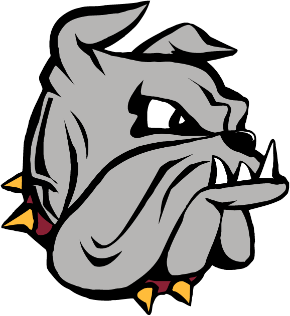 Minnesota-Duluth Bulldogs 1996-Pres Primary Logo diy iron on heat transfer